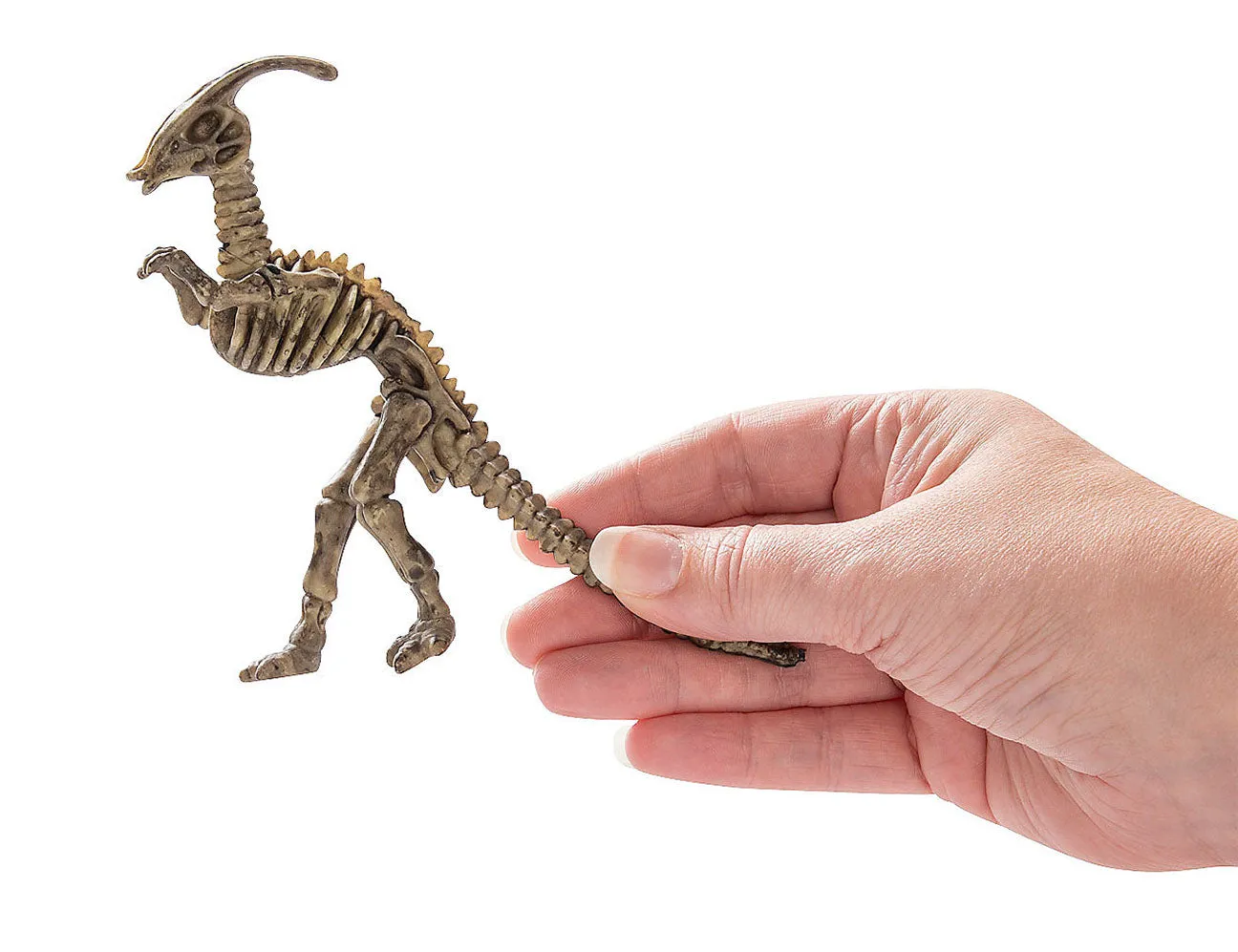 Dinosaur Dig - Dino Skeleton, Fossil Figurines