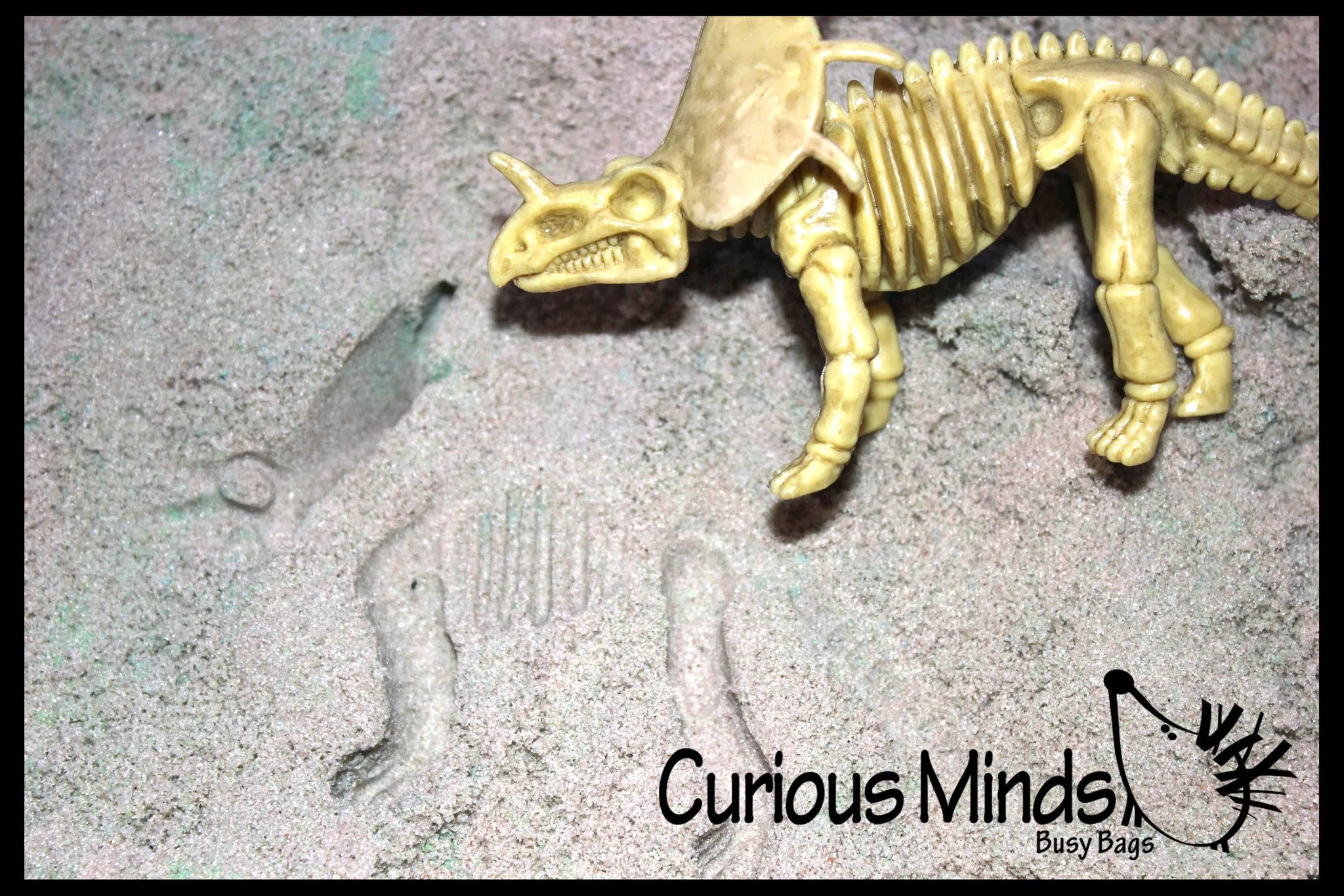 Dinosaur Dig - Dino Skeleton, Fossil Figurines