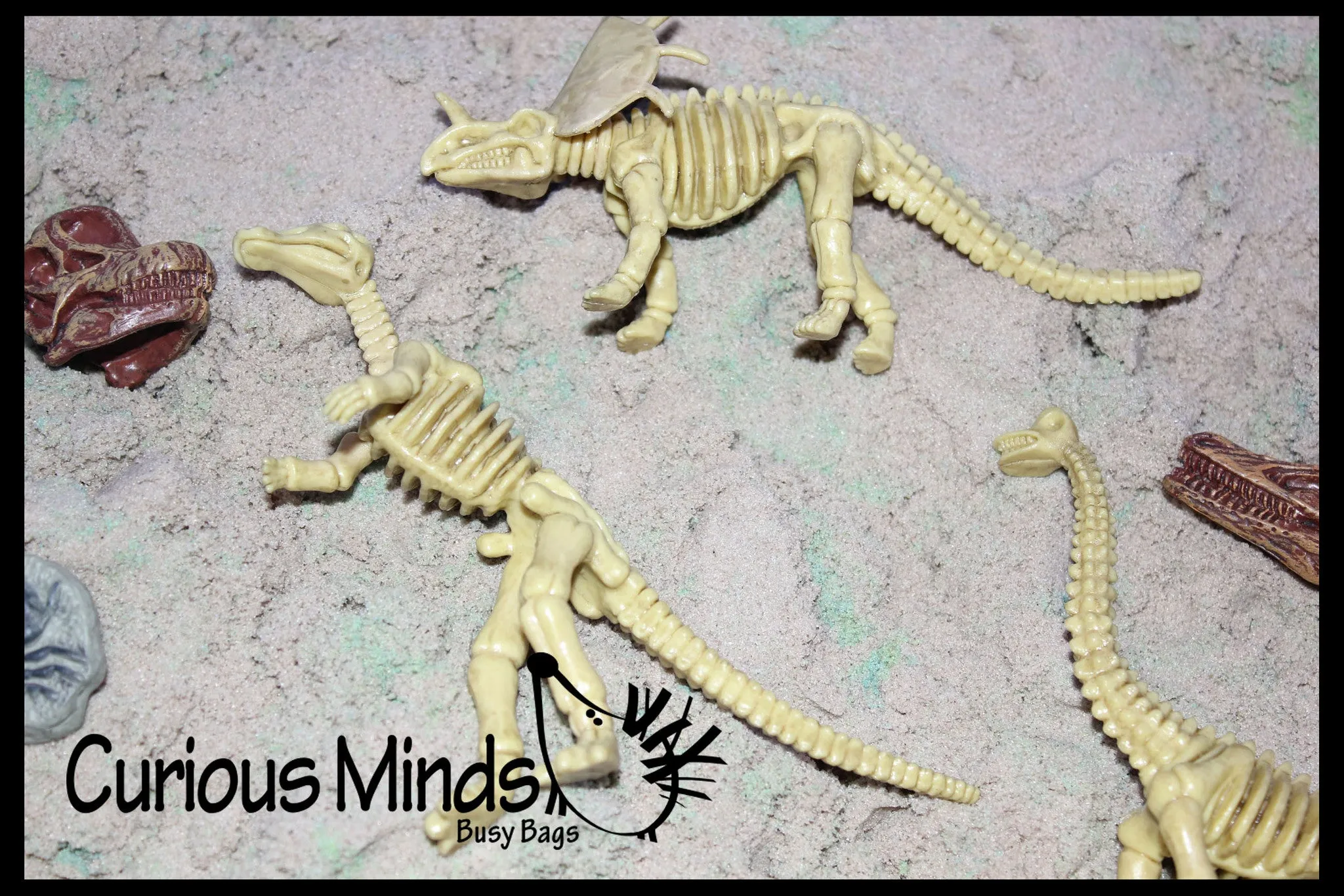 Dinosaur Dig - Dino Skeleton, Fossil Figurines
