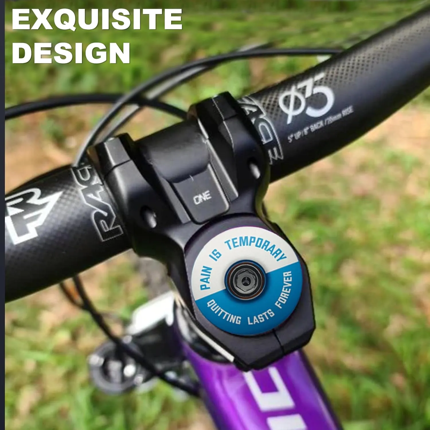 DISPATCH Pain is Temporary, Quitting Lasts Forever Bicycle Headset Cap - Customize Your Bolt - 6061 Aluminum Designed for 1 1/8" Steerer Tubes - Easy Installation & Durable Engraving or UV Printing
