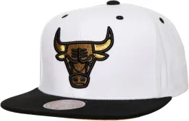 Mitchell & Ness Men's MVP Snapback Hat