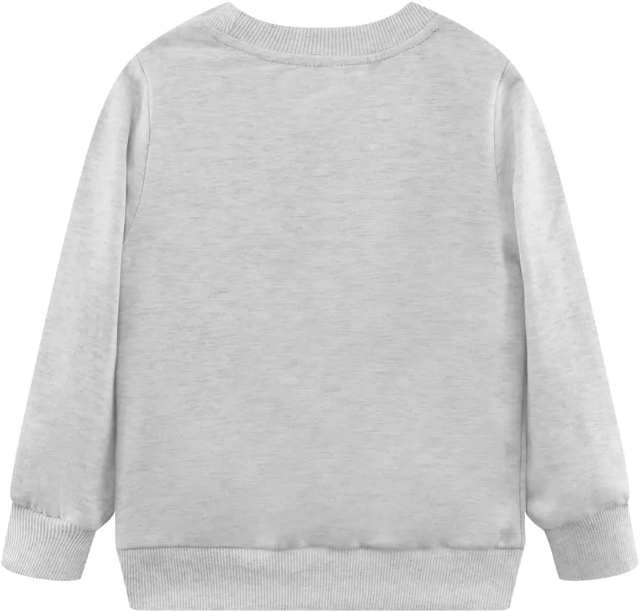 Popshion Toddler Boys Sweatshirt Cotton Lightweight Kids Winter Warm Sweater Crewneck Pullover Tops
