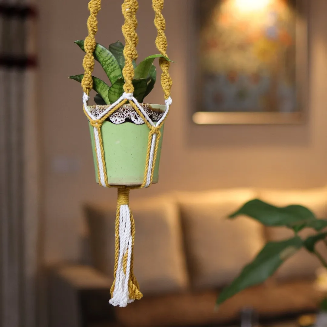 Yellow Web Macrame Plant Holder