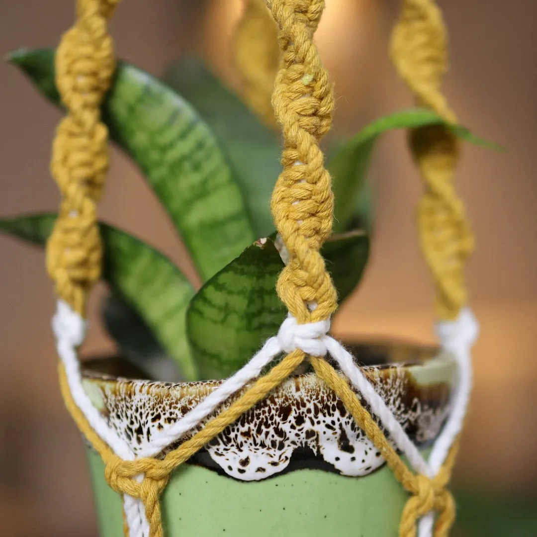 Yellow Web Macrame Plant Holder