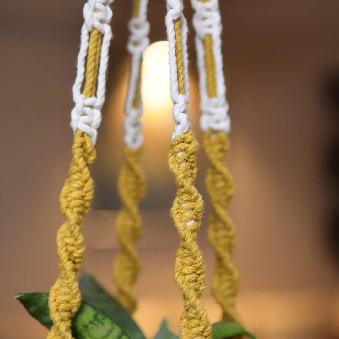 Yellow Web Macrame Plant Holder